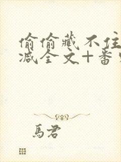 偷偷藏不住未删减全文+番外免费阅读