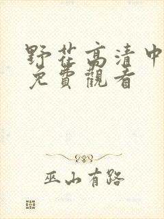 野花高清中文版免费观看封面