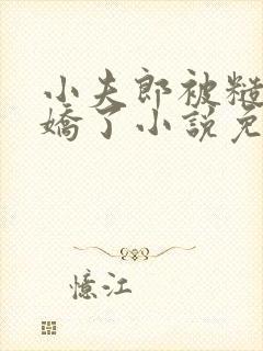 小夫郎被糙汉宠娇了小说免费阅读封面