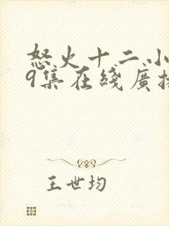 怒火十二小时第9集在线广播封面