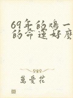 69年的鸡一生的命运好么
