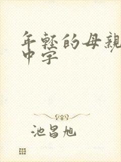 年轻的母亲韩剧中字