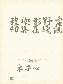 程迦彭野电视剧40集在线观看