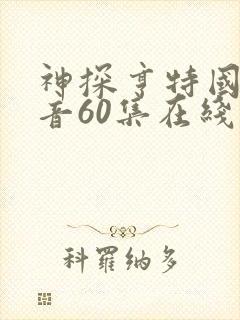 神探亨特国语配音60集在线观看
