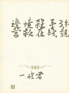 边境杀手3终极营救在线观看免费