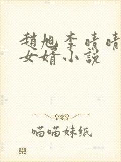 赵旭李晴晴上门女婿小说