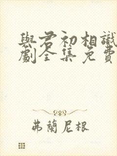 与君初相识电视剧全集免费西瓜