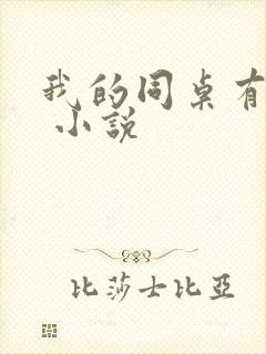 我的同桌有点冷 小说封面