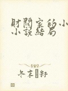 财阀家的小儿子小说结局