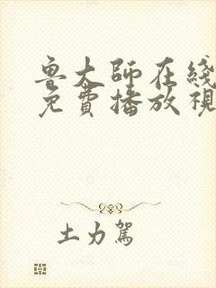 鲁大师在线观看免费播放视频电视剧