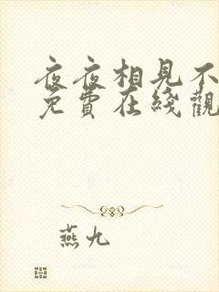 夜夜相见不识君免费在线观看