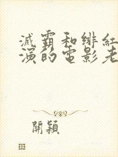 灭霸和绯红女巫演的电影老男孩