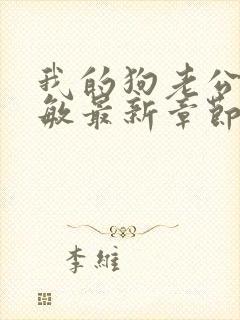 我的狗老公张淑敏最新章节免费阅读