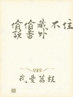 偷偷藏不住 小说番外