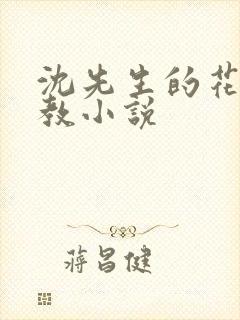 沈先生的花式调教小说