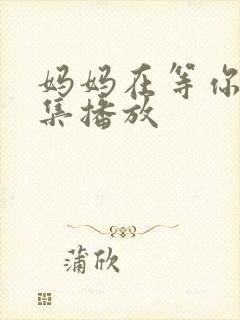 妈妈在等你47集播放