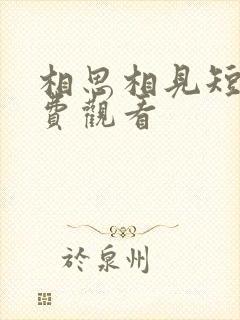相思相见短剧免费观看