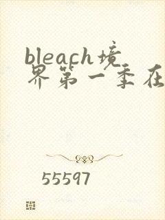 bleach境界第一季在线观看全集