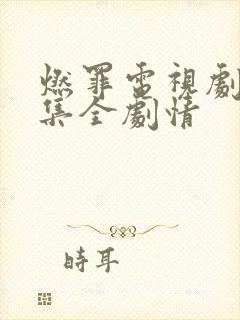 燃罪电视剧36集全剧情