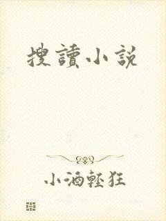 搜读小说