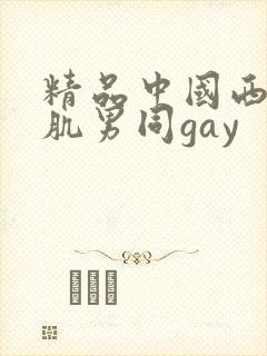 精品中国西装腹肌男同gay