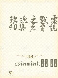 玫瑰之战电视剧40集免费观看