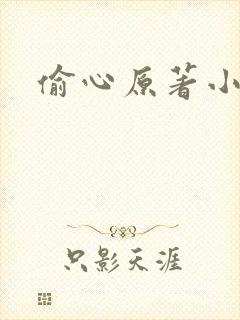 偷心原著小说