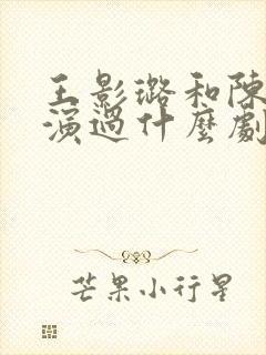 王影璐和陈飞宇演过什么剧