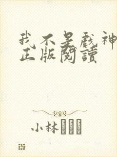 我不是戏神小说正版阅读