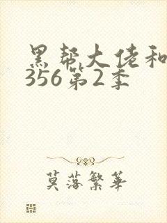 黑帮大佬和我的356第2季