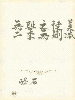 无耻之徒美版第二季无删减