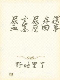 尿完尿疼还有点血怎么回事女