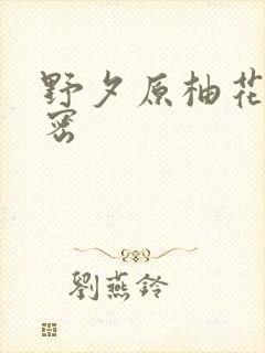 野夕原柚花的秘密