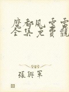 魔都风云电视剧全集免费观看封面