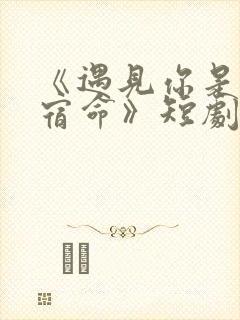 《遇见你是我的宿命》短剧