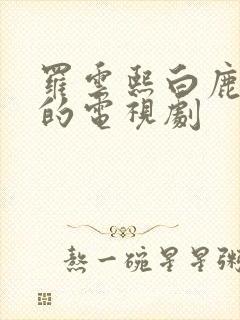 罗云熙白鹿演过的电视剧