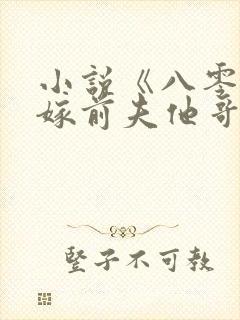 小说《八零之改嫁前夫他哥》封面