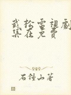 武松电视剧50集在免费