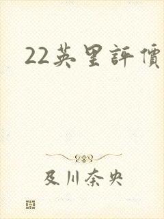 22英里评价