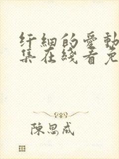 纤细的爱动漫全集在线看免费