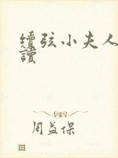 续弦小夫人 阅读封面