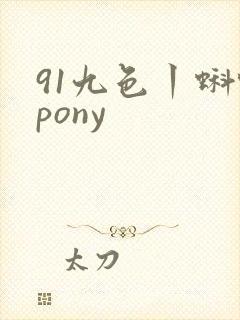 91九色丨蝌蚪pony