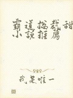 霸道总裁甜宠文小说推荐