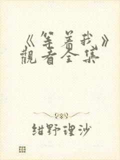 《等着我》免费观看全集