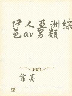 伊人亚洲综合网色av另类