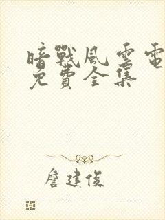 暗战风云电视剧免费全集