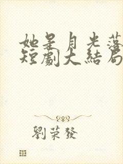 她是月光落我心短剧大结局