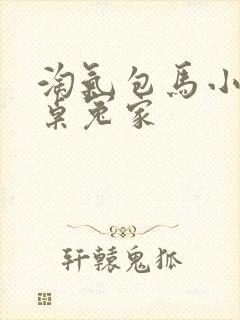 淘气包马小跳同桌冤家封面