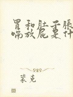 胃和肚子胀气打嗝放屁是什么原因封面