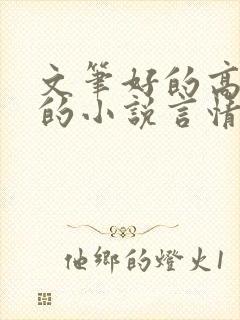 文笔好的高质量的小说言情已完结封面